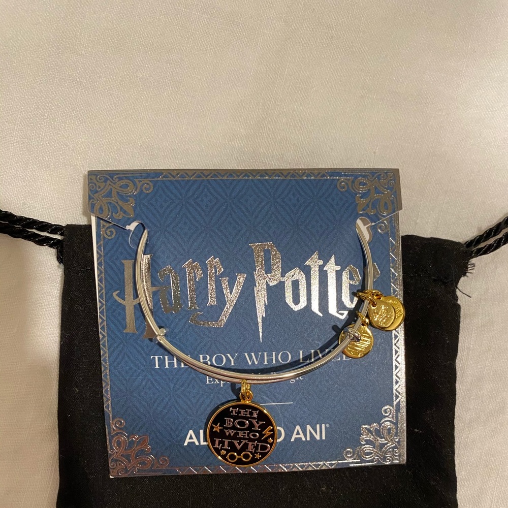 Harry Potter Alex and Ani bracelet